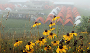 How the 2017 National Jamboree Will Spotlight Local Agriculture