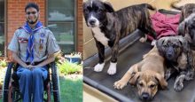 Teen Earns Eagle Scout by Helping Puppies