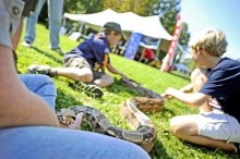 Molly the red-tail boa constrictor is pet by scouts at the International Boy Scouts encampment at Wellesley Island State Park on Saturday. AMANDA MORRISON WATERTOWN DAILY TIMES