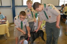 Scout Helps Doberman Rescue Group for Eagle Project