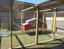 Scouts Create Learning Garden for Eagle Project